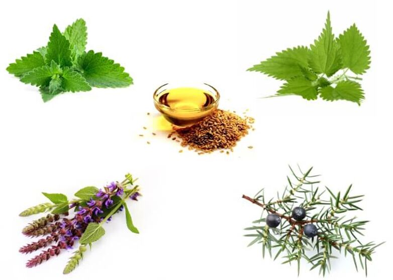 Pudina, jelatang, thyme, juniper dan minyak biji rami