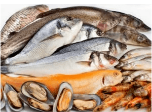 Makanan laut